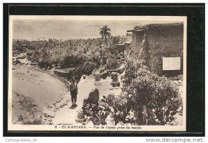 CPA El-Kantara, Vue de l'oasis prise du musee