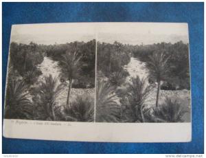 CP STEREOSCOPIQUE.....ALGERI E..L OASIS D EL KANTARA..NON ECRITE..DOS NON IMPRIME