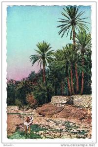 Algèrie - El Kantara - Dans la rivière