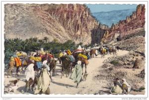 Prix fixe - Belle animation - Dans les Gorges d´El Kantara # 10-10/22