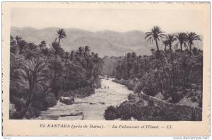 Algérie El Kantara - Près de Batna, la palmeraie et l´oued
