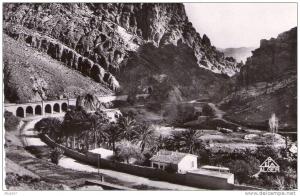 CPSM EL-KANTARA (algérie)  Côté Nord et route de Biskra (N°9) en 1955.     (7380)
