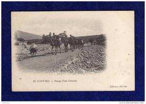 Algerien / Algérie - El Kantara   Passage d'une Caravane