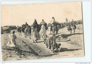 El Kantara, nomades ND  79