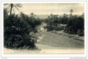 CPA / ALGERIE  / L OUED EL KANTARA ET L OASIS