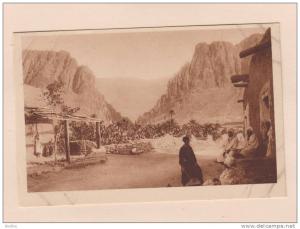 D51540 Postcard El Kantara, Entree du Village Blanc, 40122, Edit. Horizons de France, Divided back, Address Lines Unused