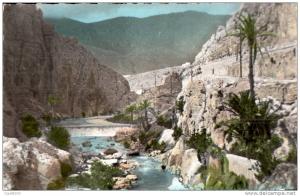 ALGERIE SCENES ET TYPES LES GORGES D'EL KANTARA CPSM CIRCULEE 1959