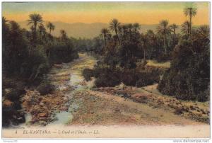 EL KANTARA  - L'Oued et l'Oasis