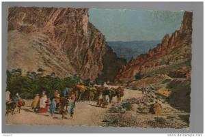 -  SCENES & TYPES D'AFRIQUE DU NORD. -  LES GORGES D'EL KANTARA. ... (16694)