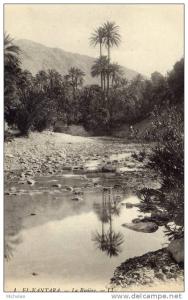 CPA   ALGERIE---EL-KANTARA----L A RIVIERE---RARE ?---1920
