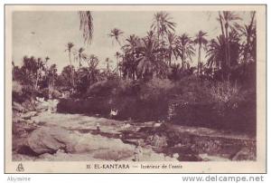 ALGERIE - EL KANTARA - (animé) intérieur de l´oasis - nr 10 albert à alger - d2 538