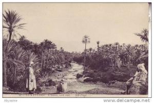 ALGERIE - EL KANTARA - l´oasis, côté sud - nr 42 ND - d4 668