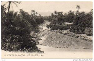 ALGERIE  EL-KANTARA  L'Oued El-Kantara et l'Oasis  ...... ( Ref FA973 )