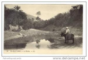 EL-KANTARA, (Al Qantarah El Sharqiyya), Egypt, 00-10s man on donkey