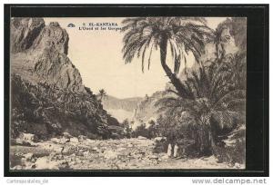 CPA El Kantara, L`Oued et les Gorges