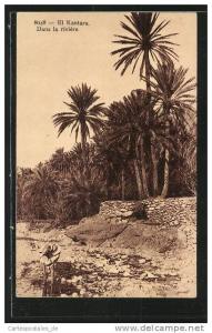 CPA Constantine, El Kantara, Dans la riviÚre