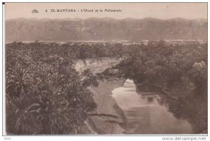 Algérie El Kantara l´Oued et la palmeraie