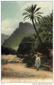 Algérie - El Kantara - 59825