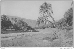 EL KANTARA  Vue sur l'Oued