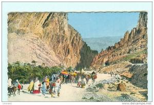 Les Gorges d' El Kantara , caravane