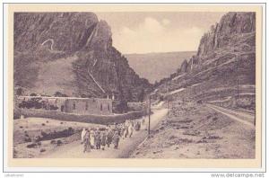 carte postale ancienne 1930  Entrée des Gorges d'El-Kantara (centenaire en 1930)