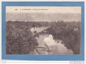 EL  KANTARA  -  L´ Oued  et  la  Palmeraie  -  BELLE CARTE   -