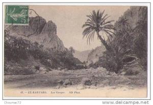 (Algérie) 033, El Kantara, ND Phot 62, Les Gorges