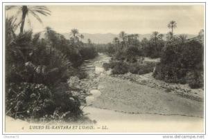 (Algérie) 029, El Kantara, LL 4, LÂ’Oued et lÂ’Oasis