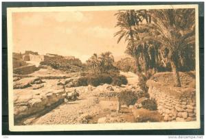 El-Kantara - l'oued  - ti138