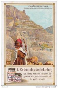 chromo liébig -l´algérie pittoresque- panorama tilatou - el kantara (constantine)- beau graphisme -