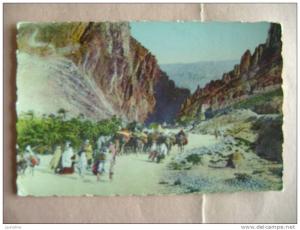 CPSM EL KANTARA  N°8.155 LES GORGES