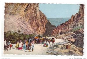 Scènes et type d'Afrique du Nord - Les Gorges d'El Kantara