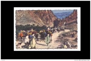 SCENES ET TYPES - DANS LES GORGES D'EL KANTARA