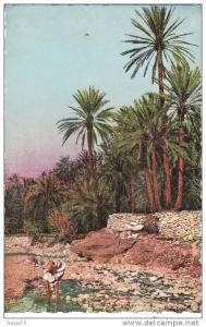 carte des années 50 d'Algérie - scène et types d'Afrique du Nord - El Kantara - dans la rivière