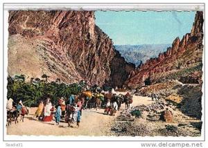 LES GORGES  D' EL  KANTARA    CPSM   TBE  1N857