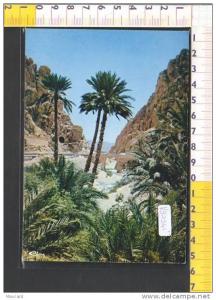 V92341 ALGERIA EL KANTARA LES GORGES PONTI DESERTI OASI