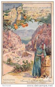 NOS COLONIES ALGERIE&TUNISIE VUE DE TUNIS SIDI BOU MEDIN PRES TLEMCEN LES GORGES D EL KANTARA SOUVENIR BELLE JARDINIERE