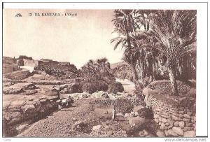 EL-KANTARA. - L'Oued.