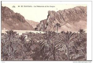 EL-KANTARA. - La palmeraie et les Gorges.