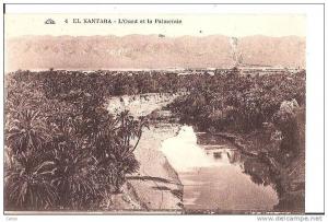 EL-KANTARA. - L'Oued et la Palmeraie.