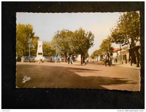 BOUIRA -- MONUMENT AUX MORTS 1961