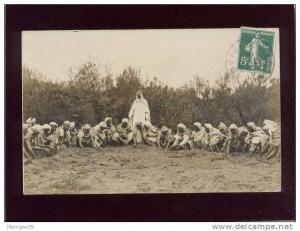 carte photo bouira sauterelles recherche des oeufs  photo signon à bouira , animée invasion de criquets