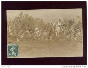 carte photo bouira aspersion d'huile sur les criquets photo signon à bouira , animée invasion de sauterelles