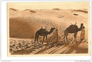 1924 Algeria Camel desert Biskra scene France 30c Sower Constantine a Bouira postmark