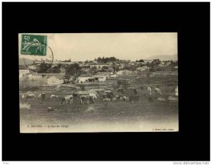 4 BOUIRA - Le bas du village - vache