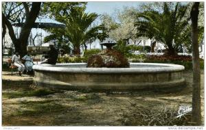 BOUIRA....LE SQUARE.....CPSM PETIT FORMAT ANIMEE