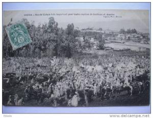 Bouira marche kabyle bestiaux