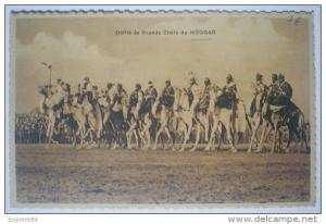 C. Postale  ALGERIE - Scènes & Types - Défilé des grands Chefs du HOGGAR