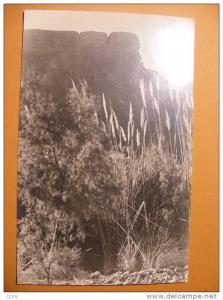 CPM Algerie - Ligne du Hoggar - Gorges d'Arak