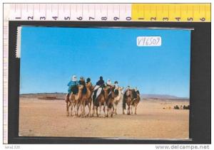 V46509 ALGERIA HOGGAR TOUAREGES CAMMELLIERI CAMMELLI BEDUINI COSTUMI TIPICI